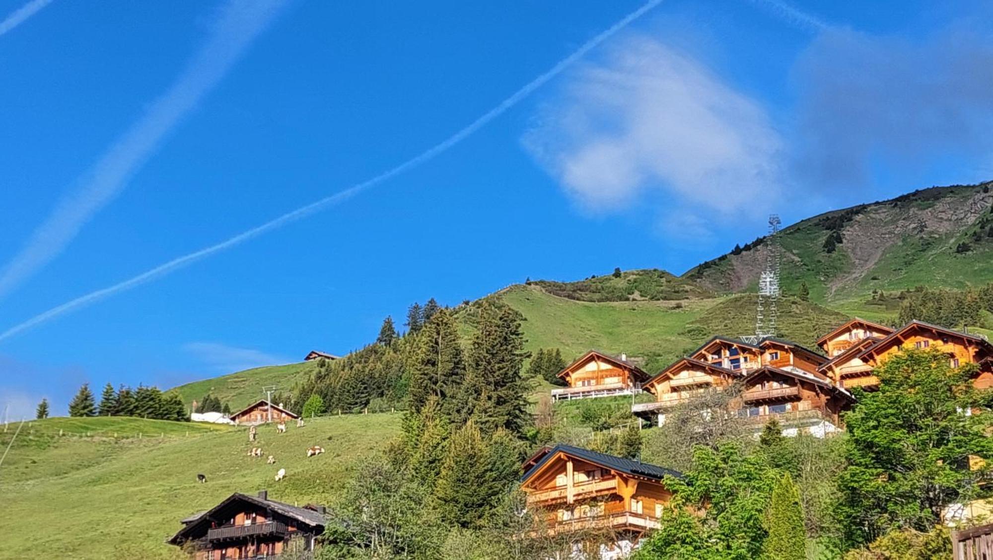 Alpage Immo Location Service Champoussin Luaran gambar